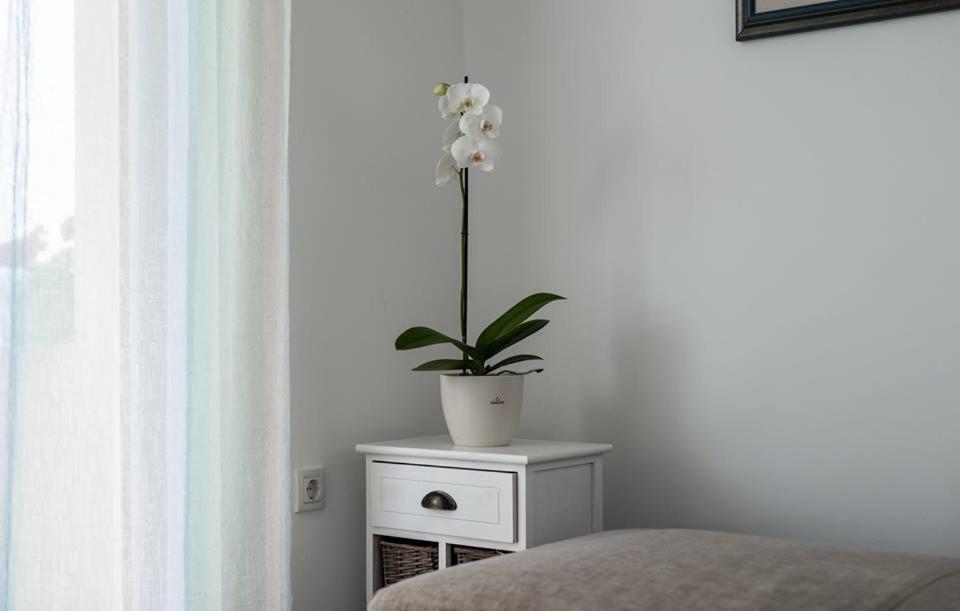 Apartments Dora Vantacici Εξωτερικό φωτογραφία